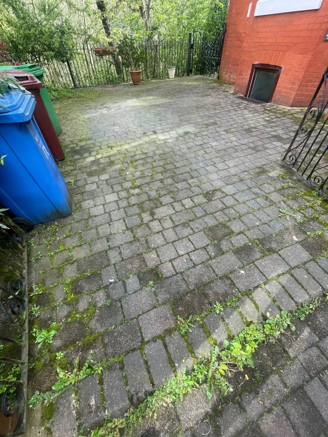 Courtyard patio covered in black algae and moss before cleaning