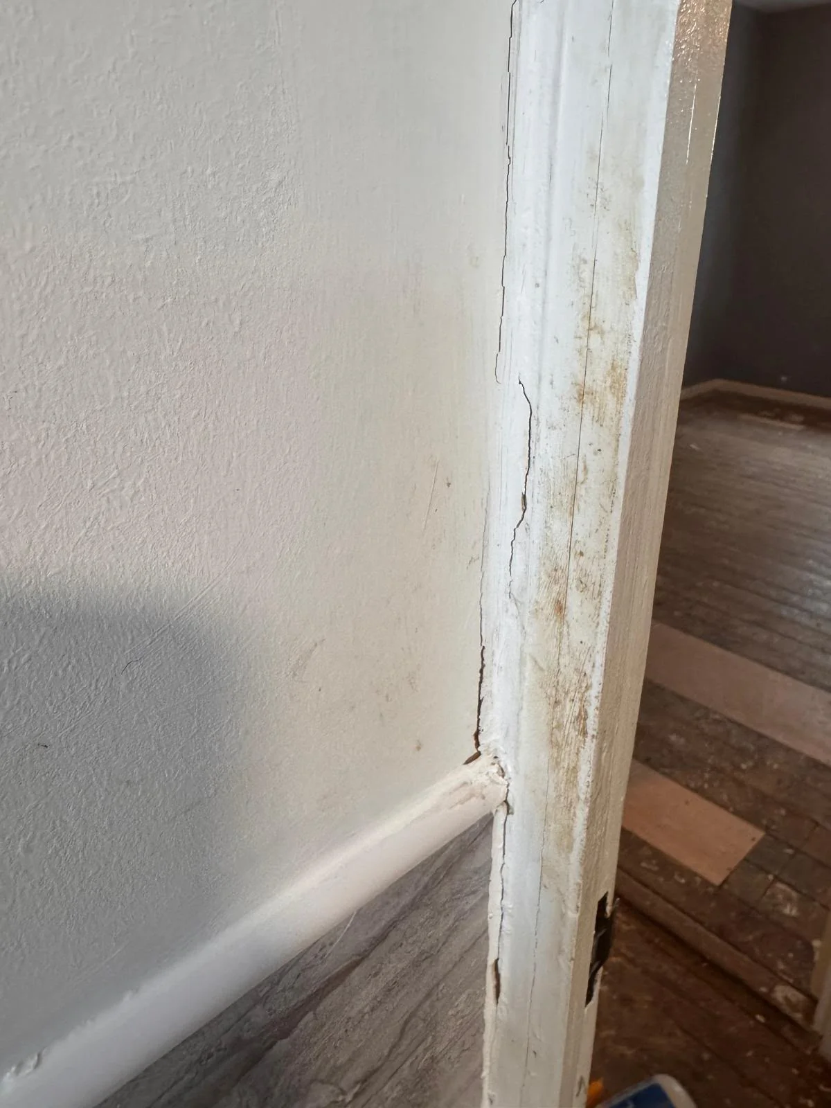 Carpet technician preparing floorboards before cleaning