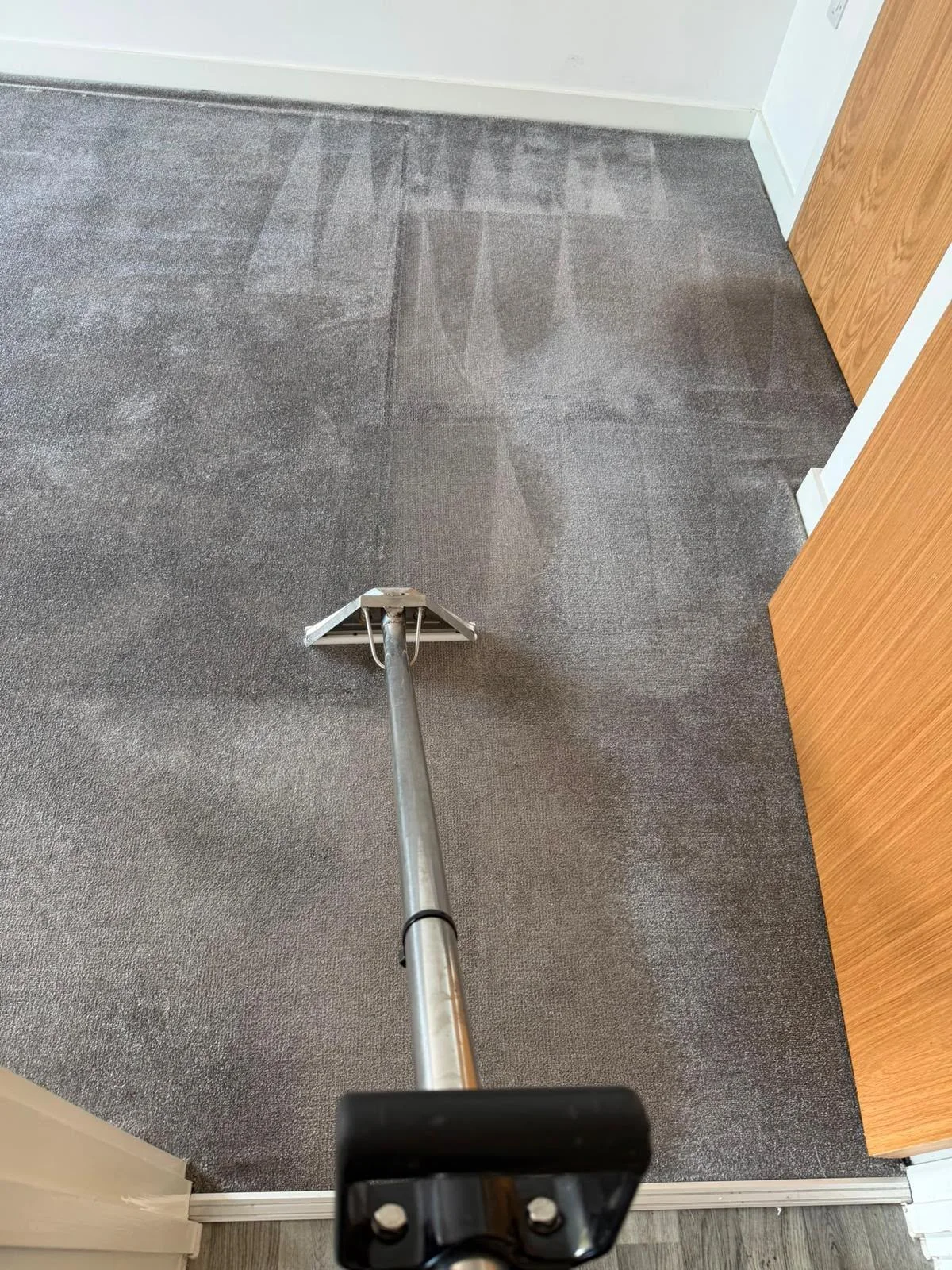 Carpet and rug cleaning - CleanedCo