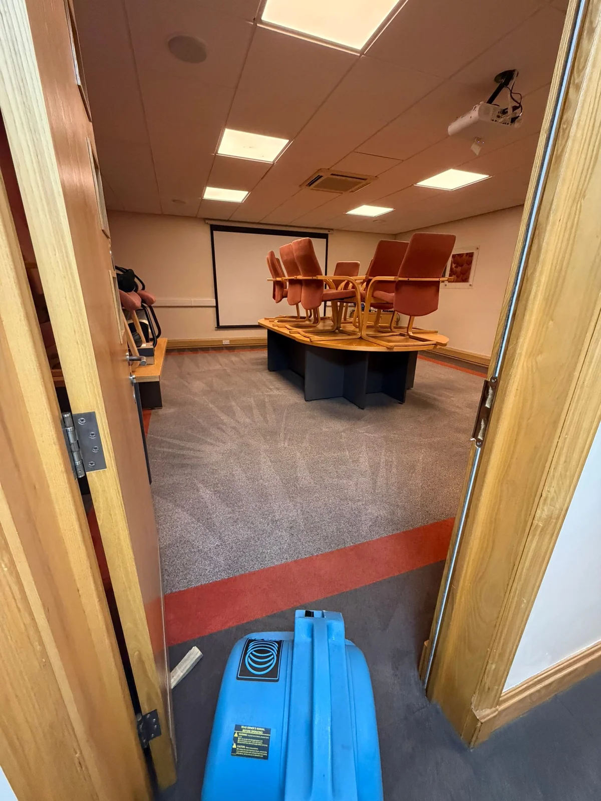 Commercial Carpet Cleaning - CleanedCo