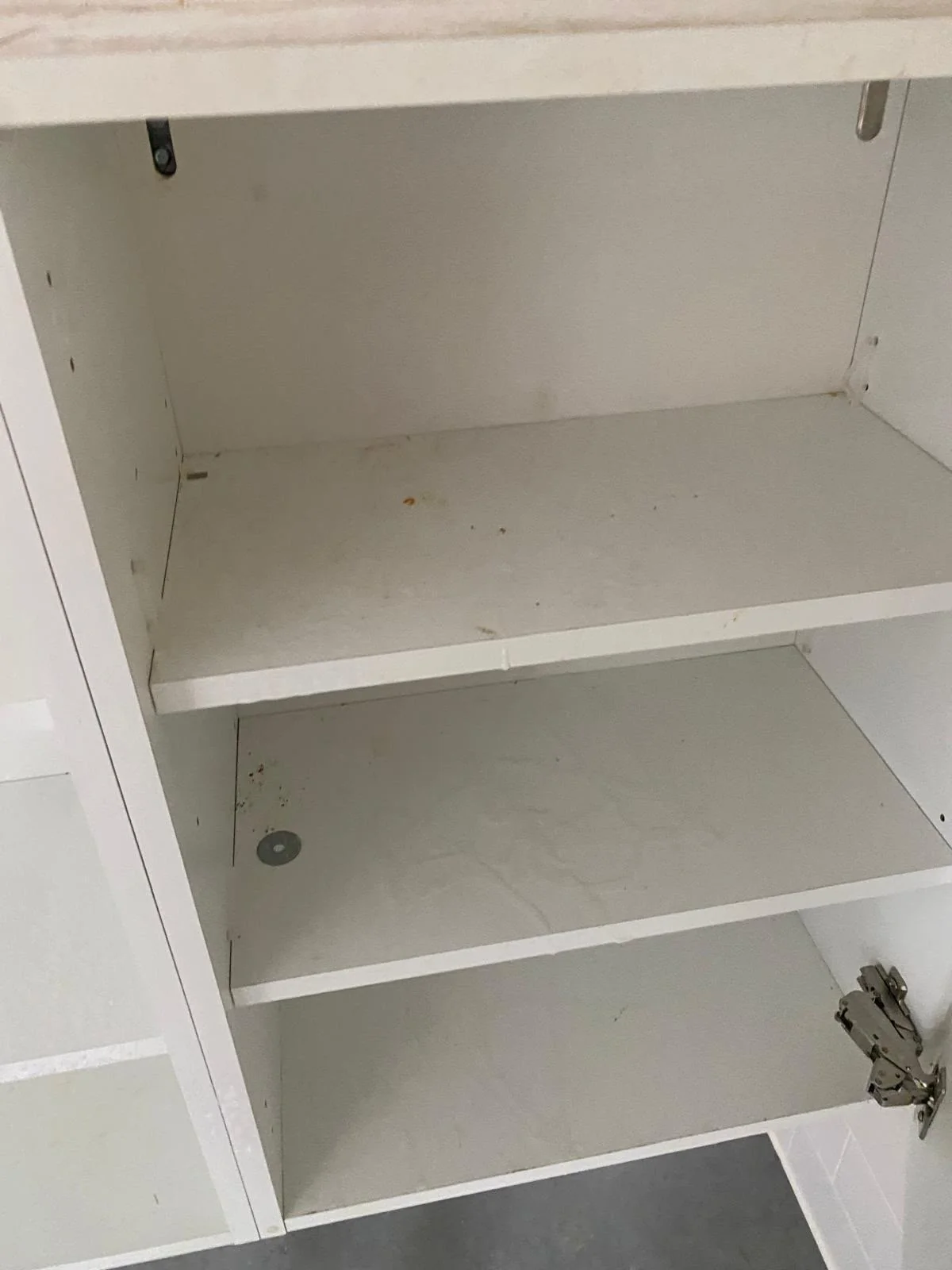 Wall-mounted kitchen cupboard shelves degreased and clean