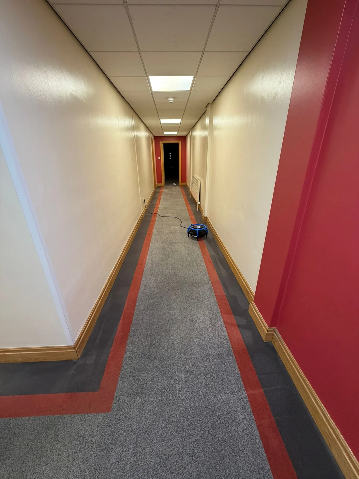 Office corridor carpet cleaning