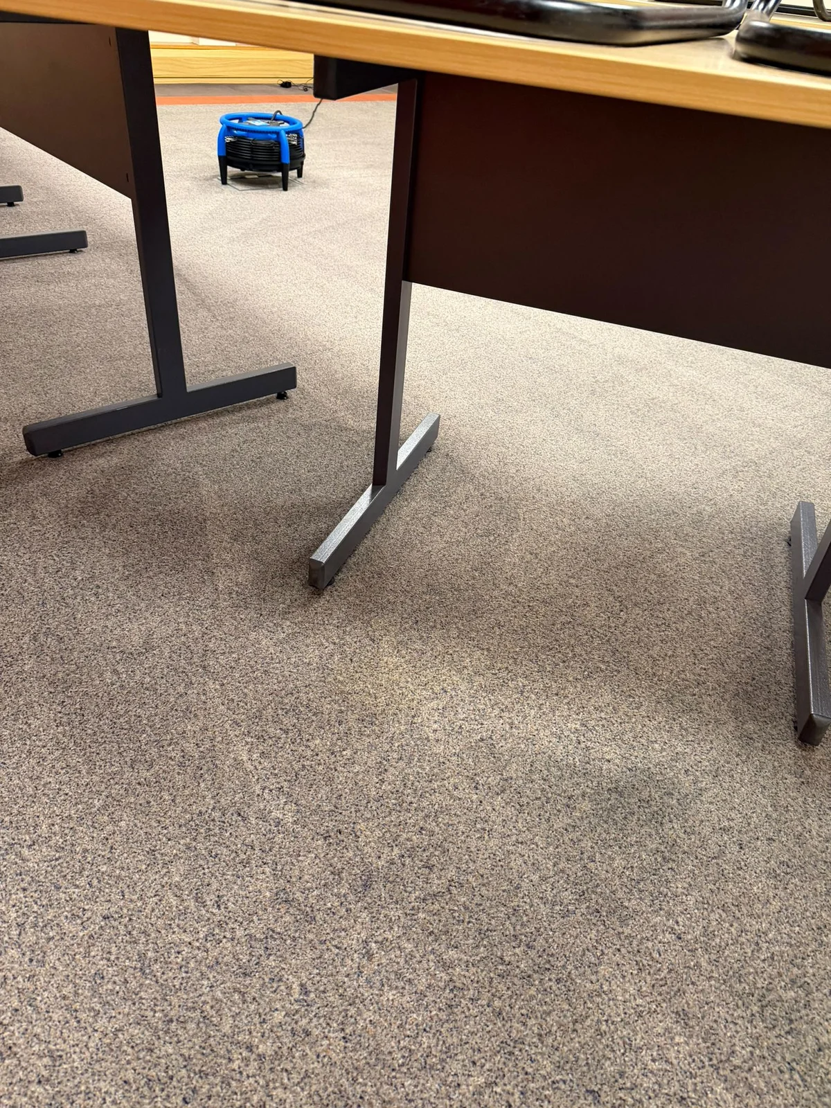 Professional carpet drying equipment in office