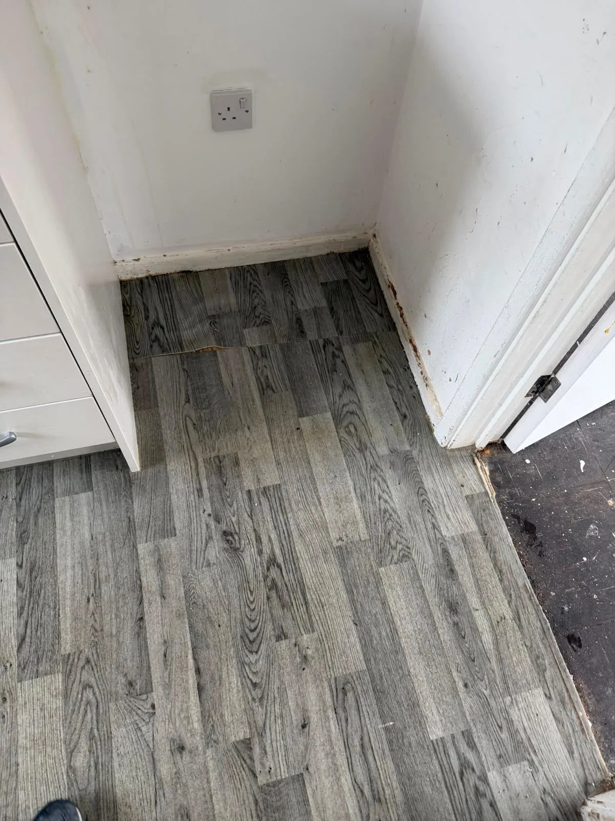Oven and appliance cleaning - CleanedCo