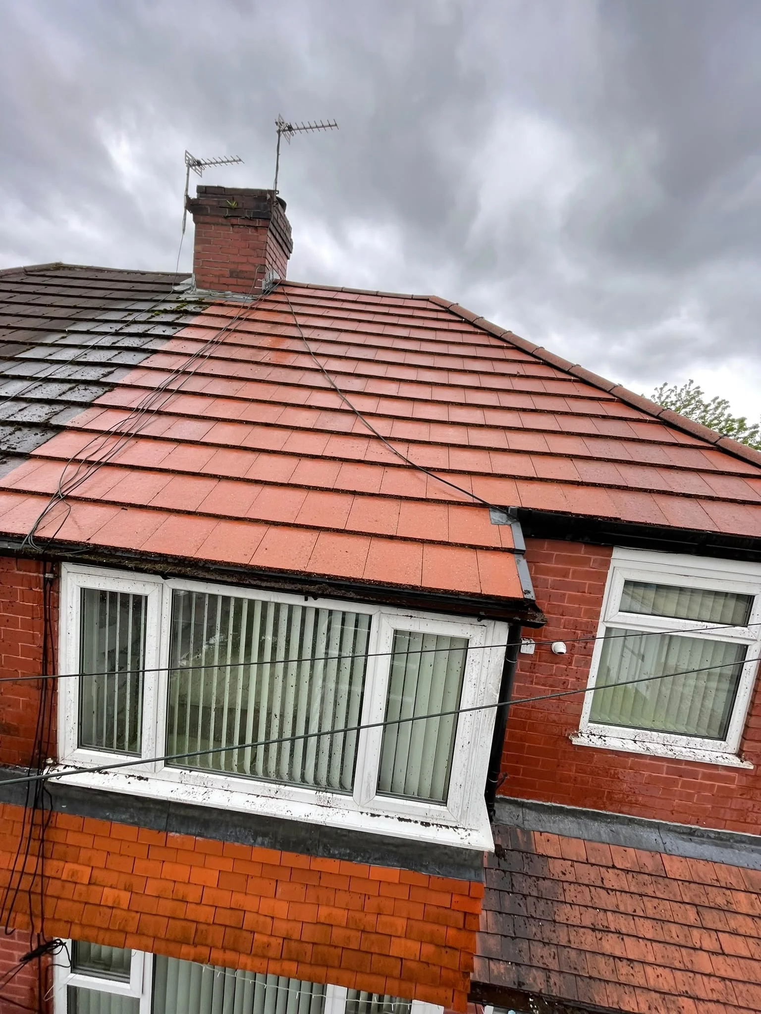 Roof and gutter cleaning - CleanedCo