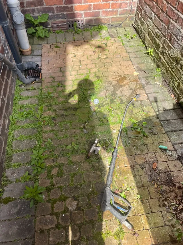 Narrow side path covered in slippery moss before cleaning
